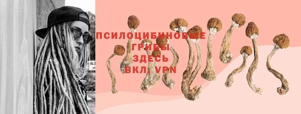 бошки Касимов