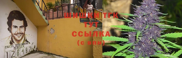 бошки Карпинск